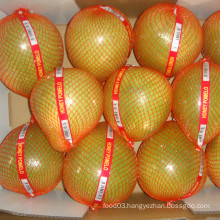 Hot Sale Chinese Pinghe Fresh Honey Pomelo